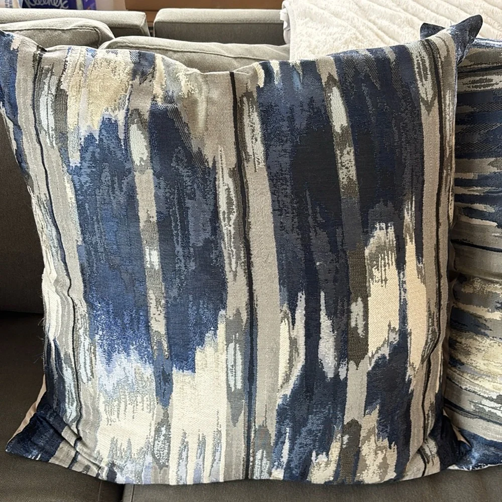 Z Gallerie 24x24 like new pillows. Two pillows are included